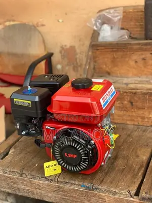 5.5horsepower Gx160 Gasoline Engine for Washers and Millers