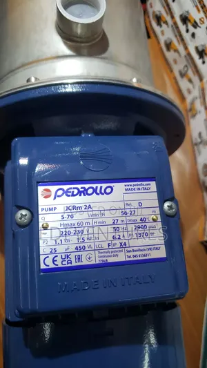 Pedrollo JCR 1.5 Horsepower Stainless Water Pump