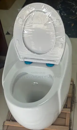 Egg Shaped Water Closet