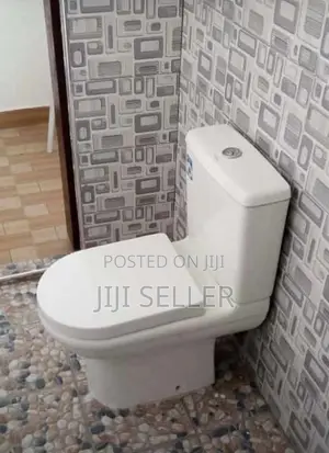 Water Closet (Slim Cistern)