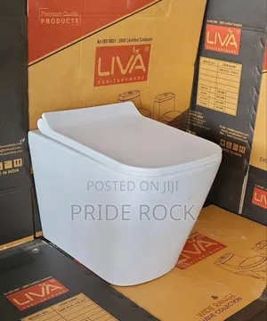 Conceal Wc , Wall Hang Wc With Seat Cover and Tank