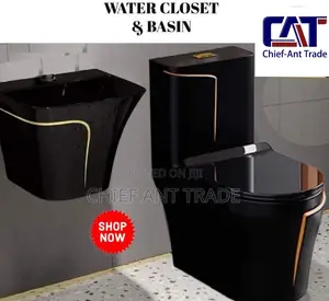 Toilet Seat Wc With Basin Black and Gold W652s + HGB-1