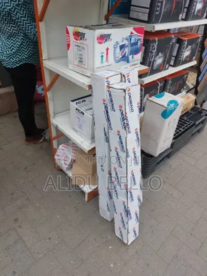 Pedrollo Borehole Pump From Italy