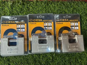 Top Security Padlocks