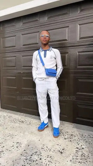 Automatic Garage Door System With Remote