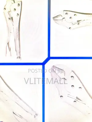 Wadfow 10" Straight Jaw Locking Plier - Wlp2c10