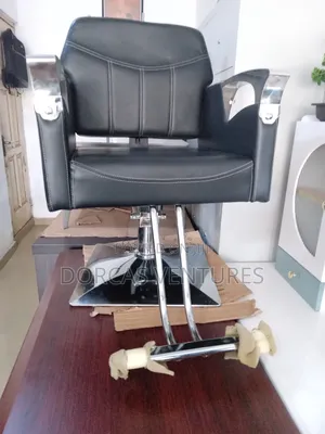 Wellgrounded and Modern Saloon Chair