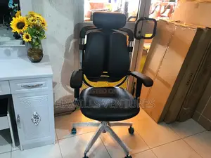 Ergonomic Office Chair