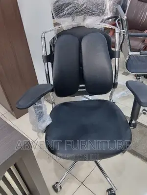 Executive Metal Ergonomic Chair