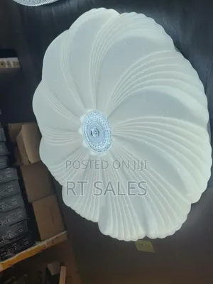 Nn New Ceiling Light