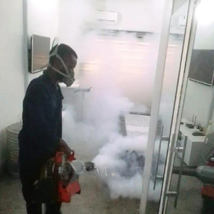 KG - Fumigation and Exterminator Services.