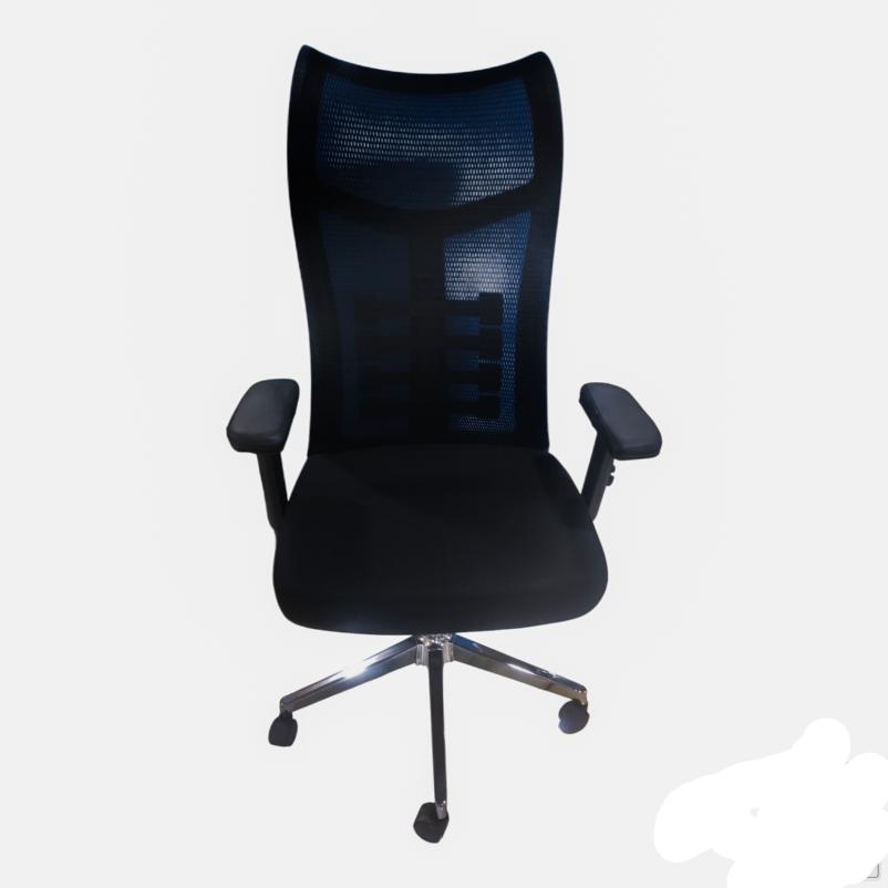 Executive Swivel Chair - Ergonomic Mesh Back, Black (A046)