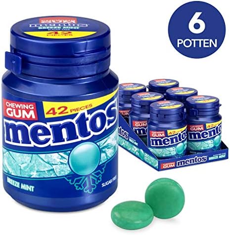 Mentos Gum Menthol-Eucalyptus | 6 x 42 Pieces