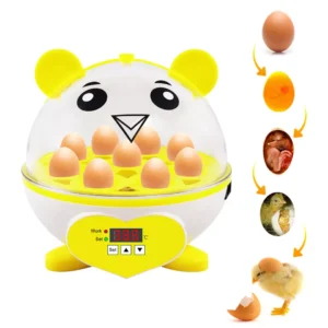 9-Capacity Small Egg Incubator - Tabletop Hatching Unit