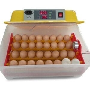 56 Egg Automatic Incubator - Environmentally Friendly Hatcher