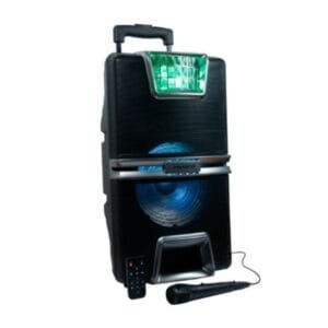 Nasco 8W Bluetooth Speaker - FM Radio, TF Card, Microphone Jack, NASD-250W