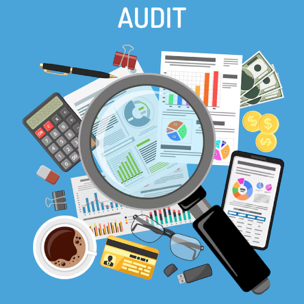 powerintel - Audit & Assurance