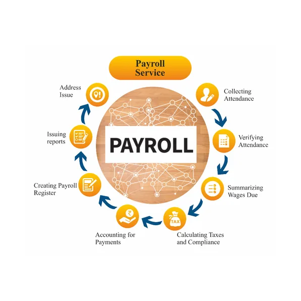 pistisaudit - Payroll Consultancy