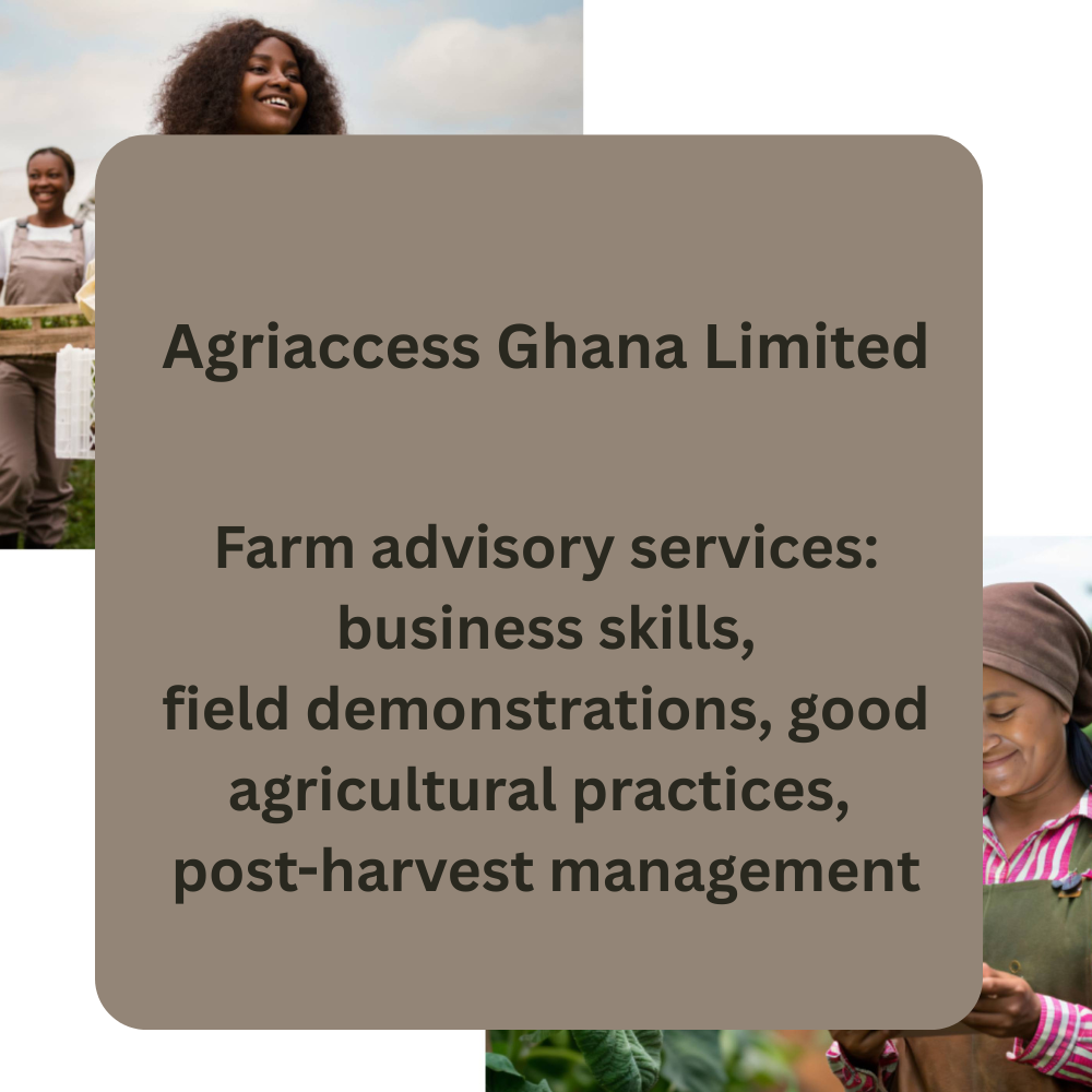 Agriaccess Ghana – Farm Advisory Services (Business Skills, Field Demonstrations, GAP & Post-Harvest Management)