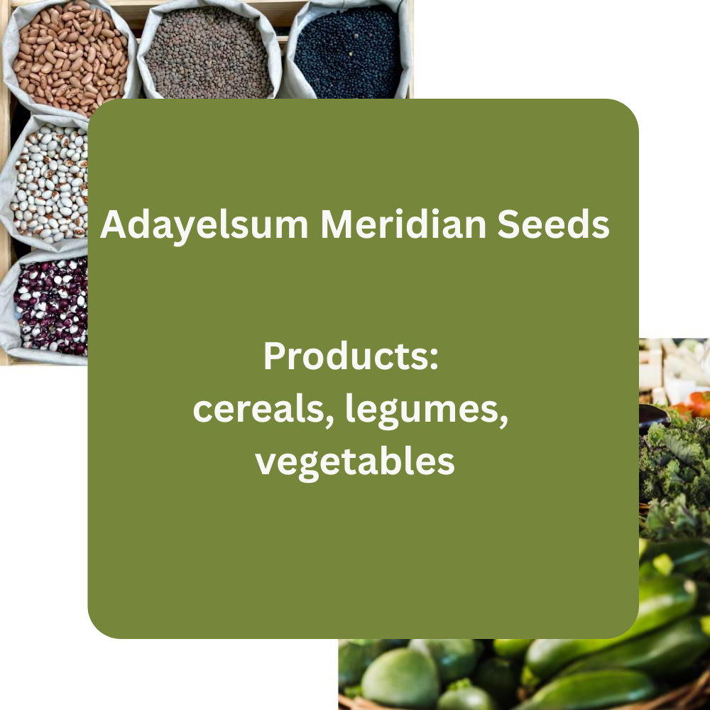Adayelsum Meridian Seeds – Premium Cereals, Legumes & Vegetables