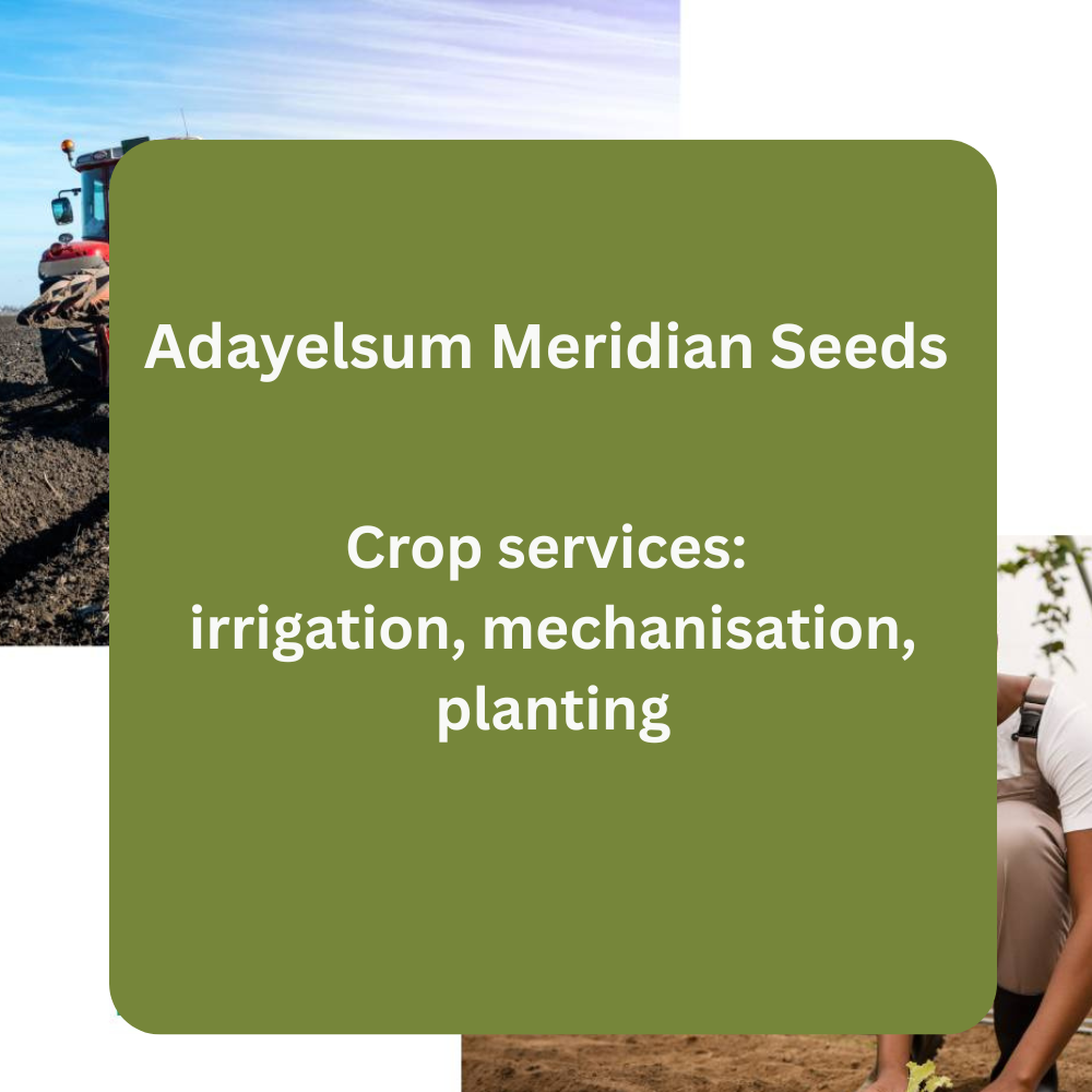 Adayelsum Meridian Seeds – Crop Services (Irrigation, Mechanisation & Planting)
