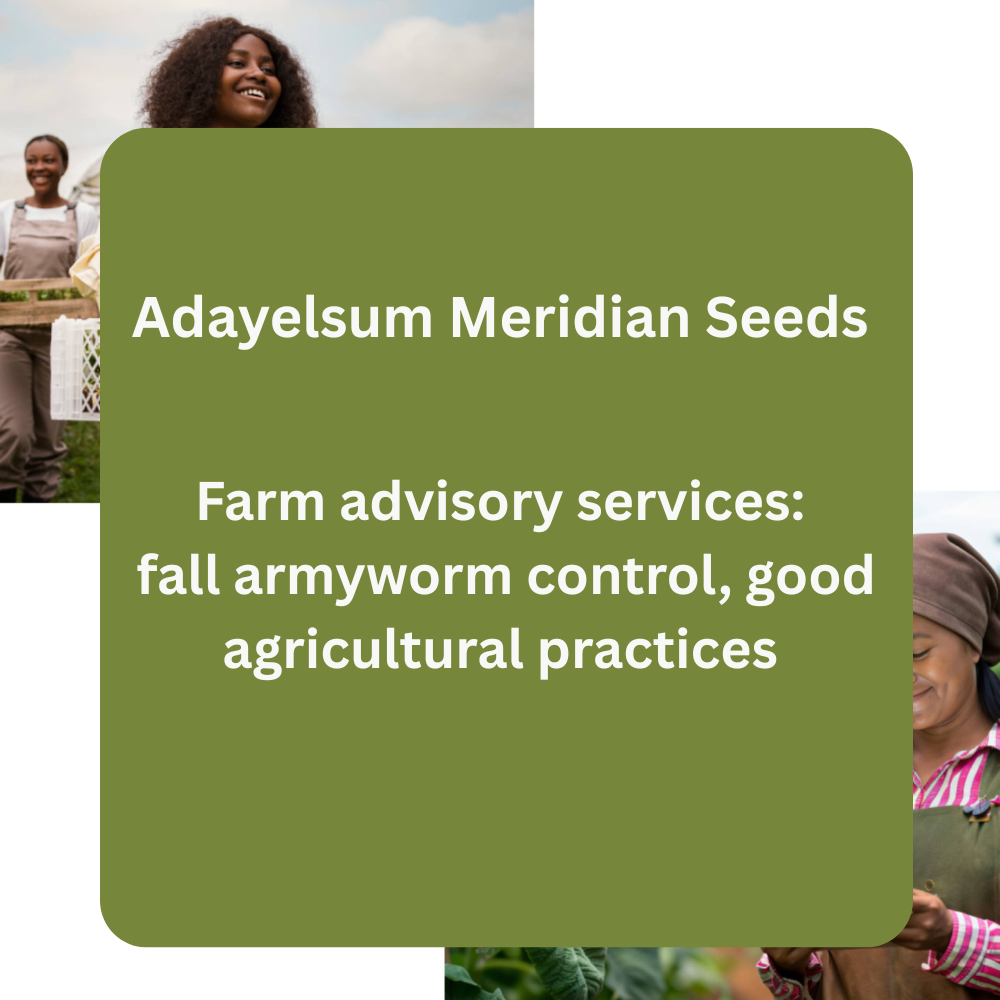 Adayelsum Meridian Seeds – Farm Advisory Services (Fall Armyworm Control & GAP Training)