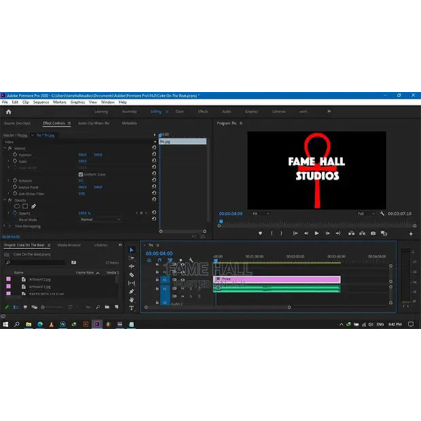 Fame - Professional Video Editor